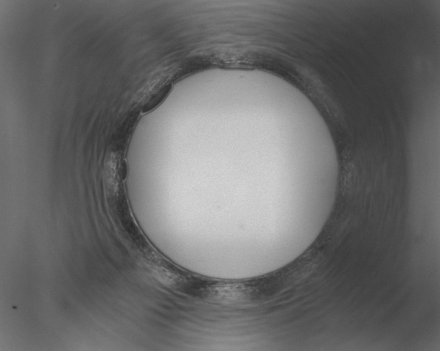 X0000076390121200611031705