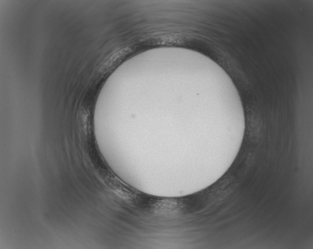 X0000076390123200611031705