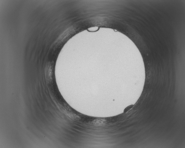 X0000076390124200611031705