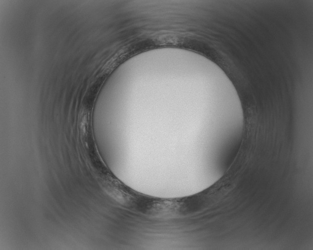 X0000076390125200611031705