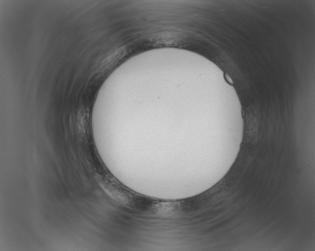 X0000076390126200611031705