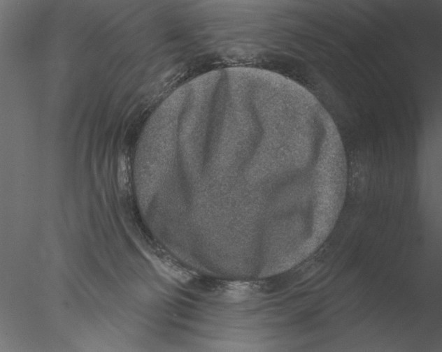 X0000076390130200611031705