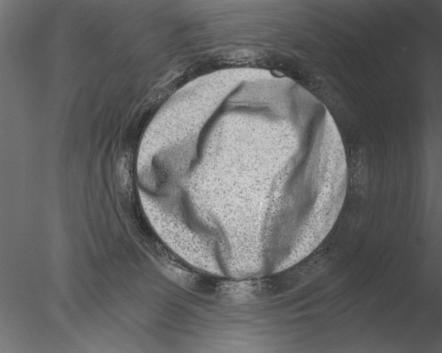 X0000076390131200611031705