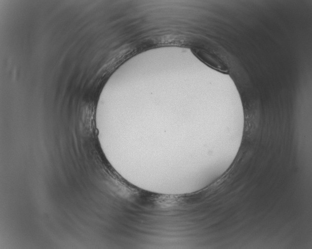 X0000076390142200611031705