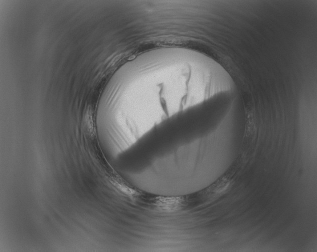 X0000076390143200611031705