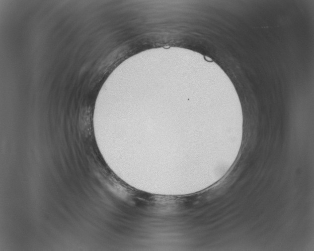 X0000076390144200611031705