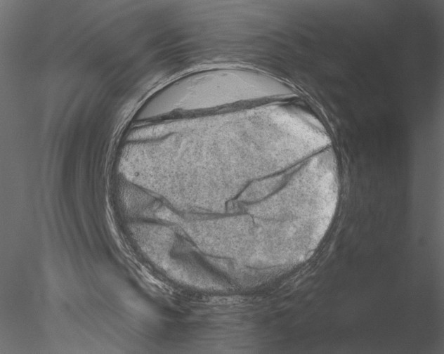 X0000076390145200611031704