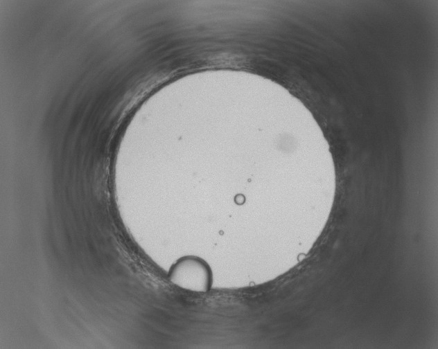 X0000076390146200611031704