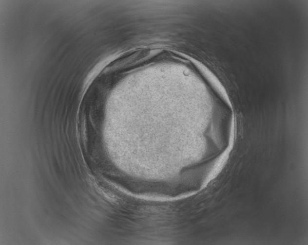 X0000076390147200611031704