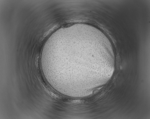 X0000076390153200611031704