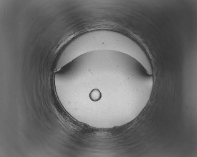 X0000076390154200611031704