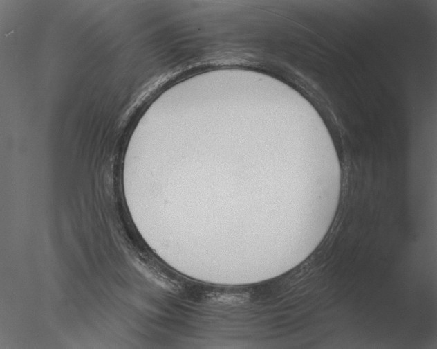 X0000076390155200611031704