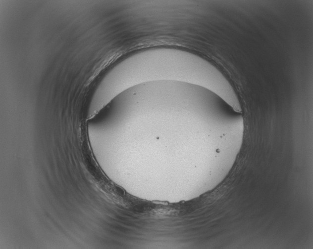 X0000076390158200611031704