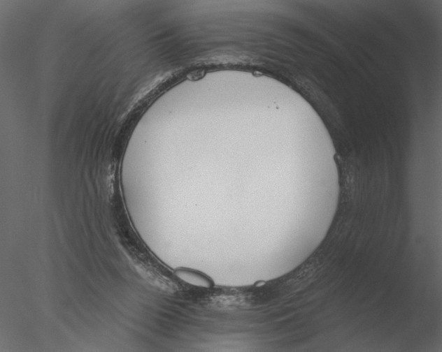 X0000076390160200611031704