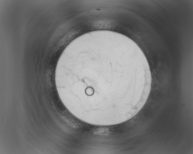 X0000076390162200611031704