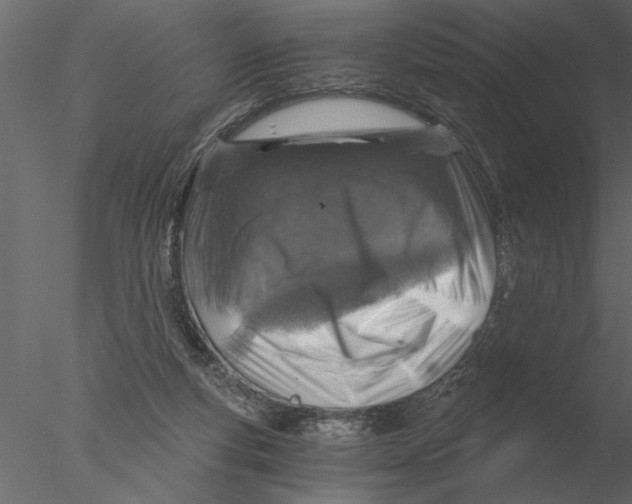 X0000076390163200611031704