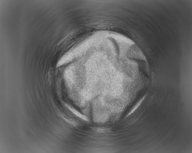 X0000076390165200611031704