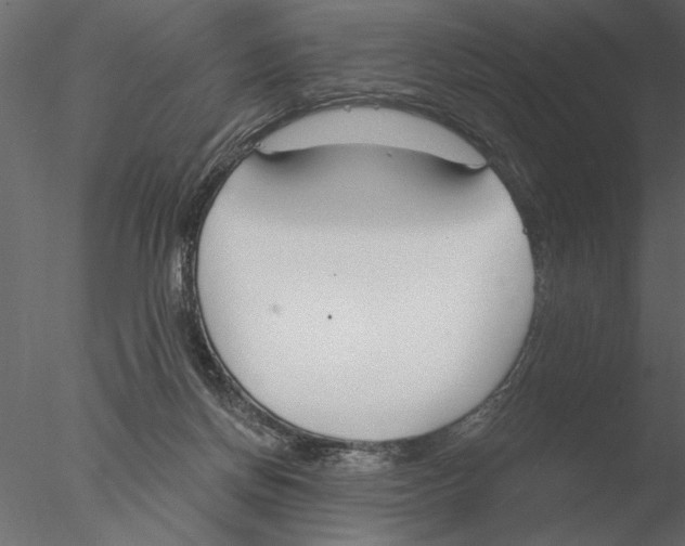 X0000076390166200611031704