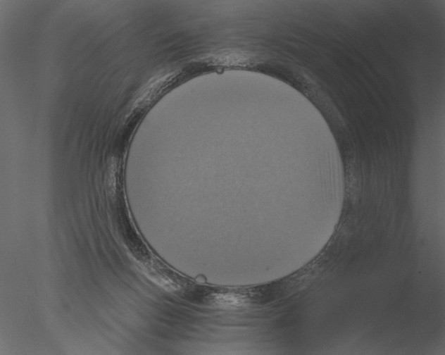 X0000076390167200611031704