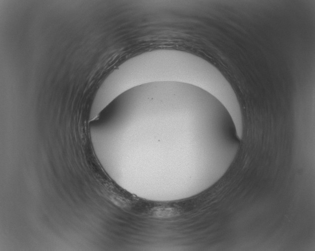 X0000076390169200611031704