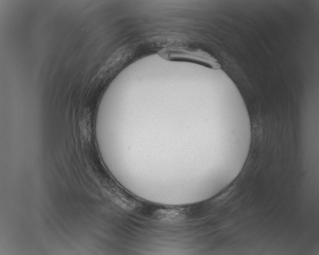 X0000076390170200611031704