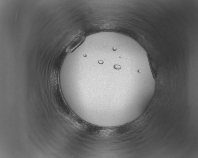 X0000076390172200611031704