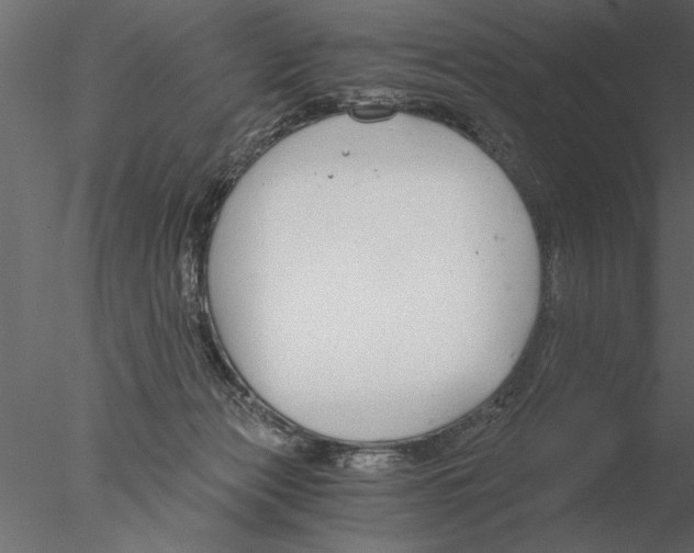 X0000076390173200611031704