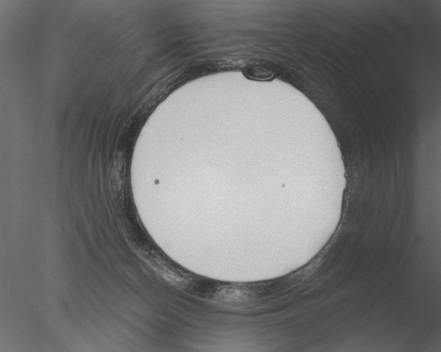 X0000076390174200611031704