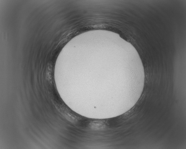 X0000076390175200611031704