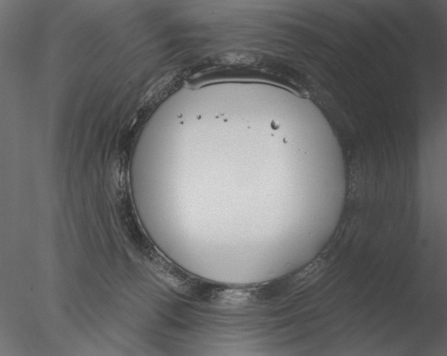 X0000076390176200611031704