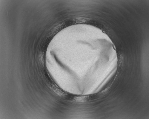 X0000076390178200611031704