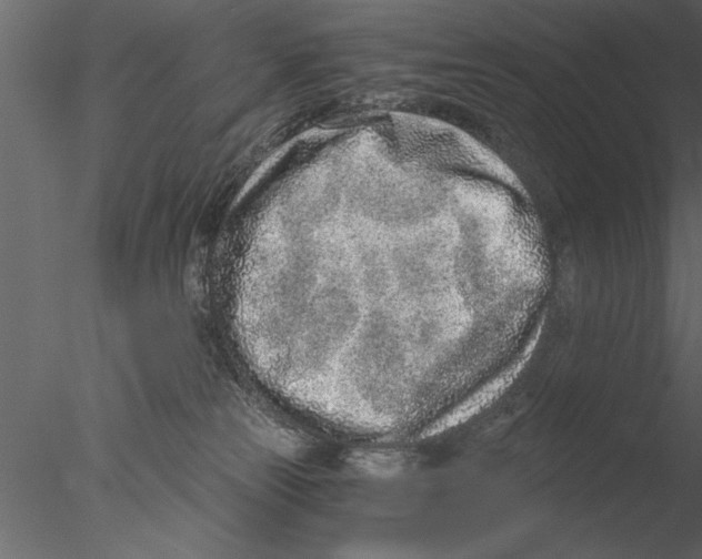 X0000076390181200611031704