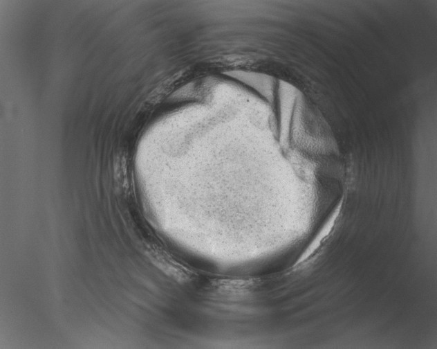 X0000076390182200611031704