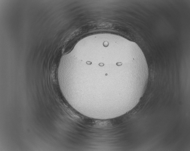 X0000076390185200611031705