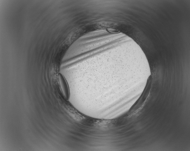 X0000076390186200611031705