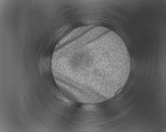 X0000076390189200611031705