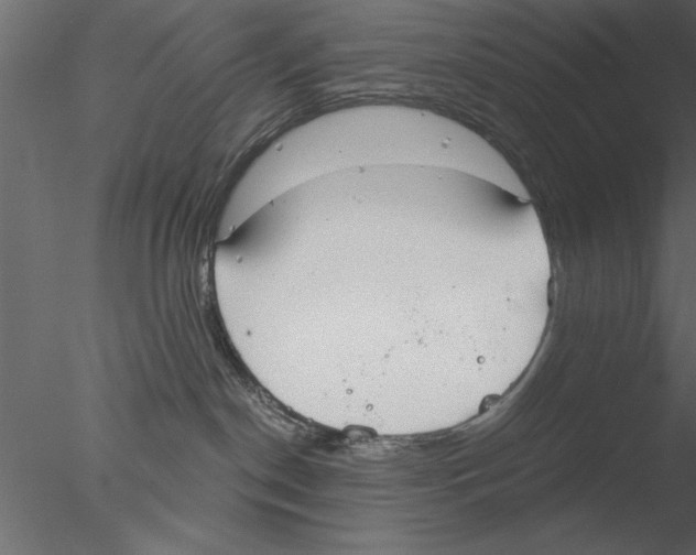 X0000076390190200611031705