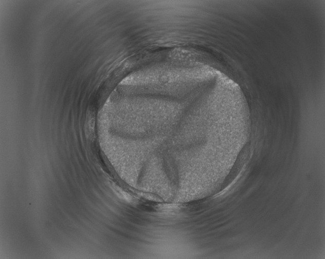 X0000076390192200611031705