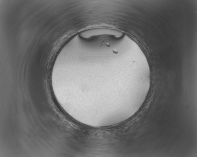 X0000076390193200611031704