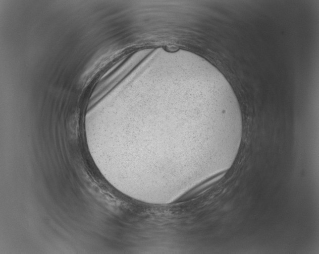 X0000076390194200611031704