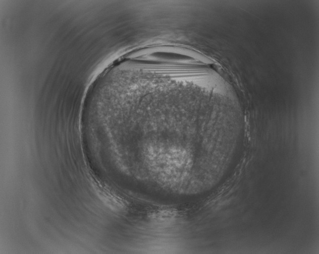 X0000076390196200611031704