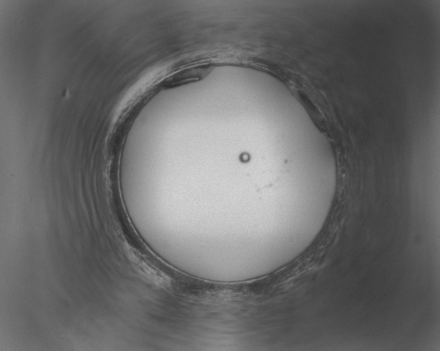 X0000076390197200611031704