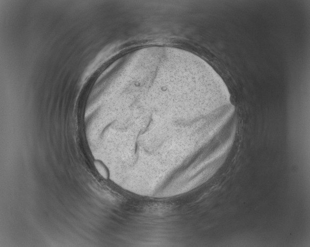 X0000076390198200611031704