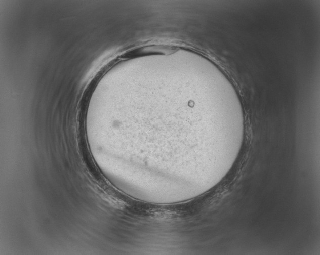 X0000076390199200611031704