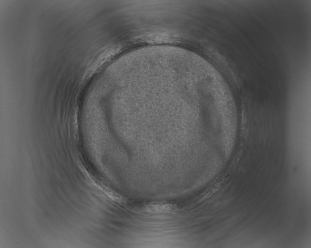 X0000076390202200611031704