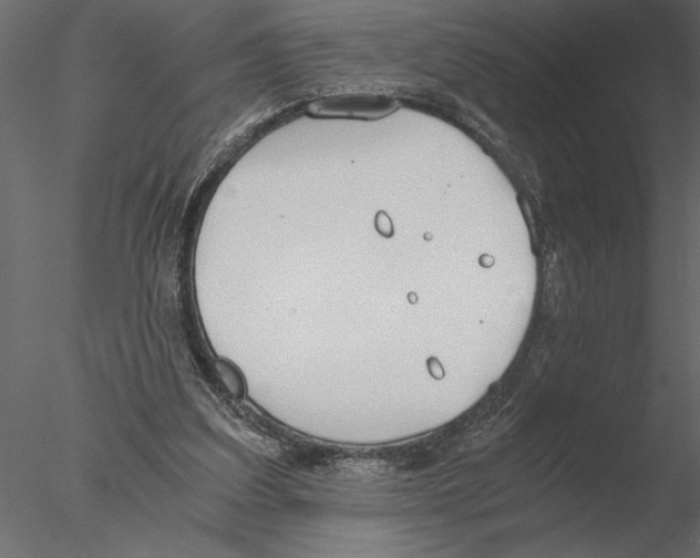 X0000076390203200611031704