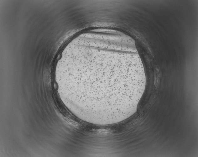 X0000076390204200611031704