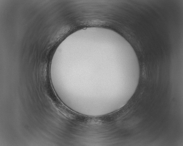 X0000076390206200611031704