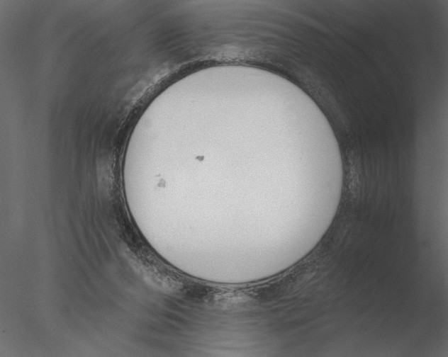 X0000076390208200611031704