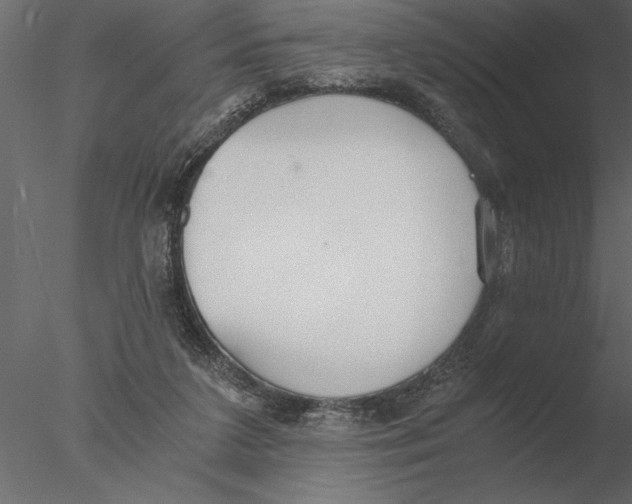 X0000076390211200611031704